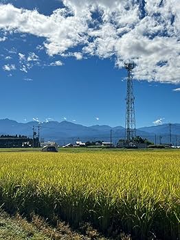 sirasuさん専用✳️白米富山県産1等米コシヒカリ9㎏ ✖️2袋 富山産コシヒカリ | 一等米専門店 江戸の米蔵